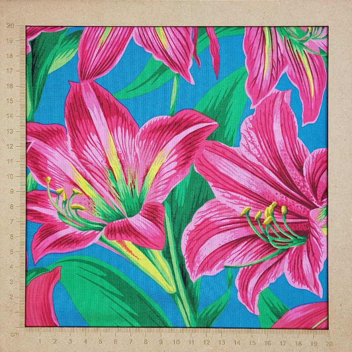 Tissu Kaffe Fassett collective lys fuchsia sur fond bleu