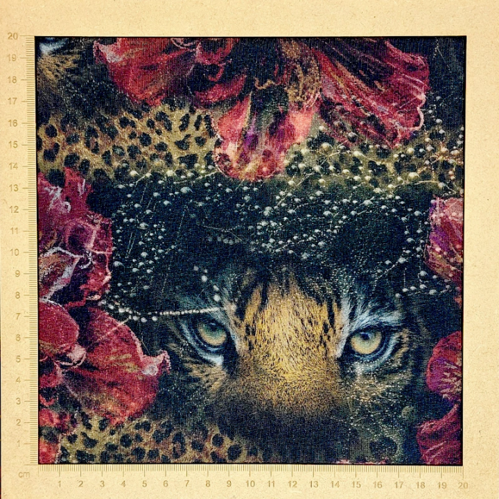 Tissu French Terry Stenzo noir léopard et fleurs