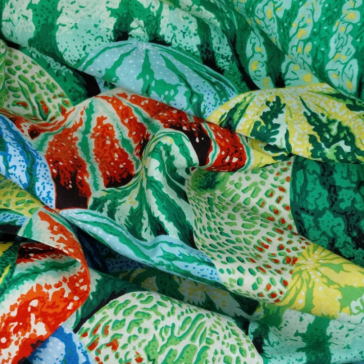Tissu Kaffe Fassett vert, jaune et orange à motifs de pastèques – Collection Watermelon