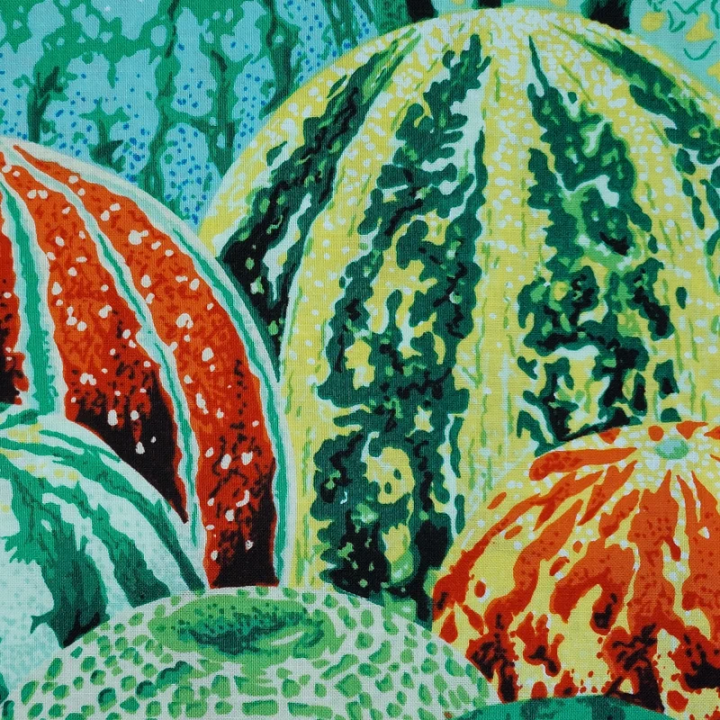 Tissu Kaffe Fassett vert, jaune et orange à motifs de pastèques – Collection Watermelon